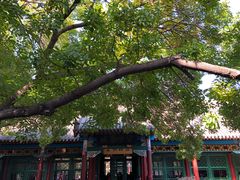 -张学良旧居陈列馆