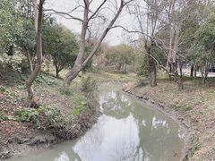 -韩湘水博园
