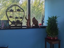 -斐尔国际皮肤管理中心