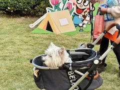 -上海神旺大酒店