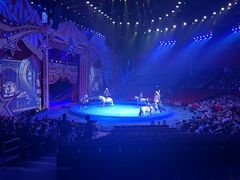 -珠海横琴长隆《卡卡虎奇遇记》