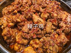 -志晖园圆子鸡·辣子鸡(阳光店)