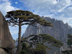 -黄山风景区