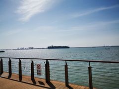 -东疆建设开发纪念公园