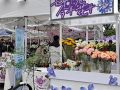 -南屏步行街