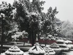 -隆兴寺