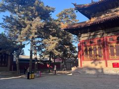 -普乐寺