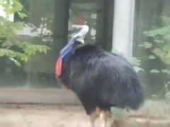 -石家庄市动物园