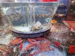 海鲜池-德胜轩正宗顺德菜(宝安沙井会展中心店)