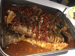 -鱼酷活鱼烤鱼(恒隆广场店)