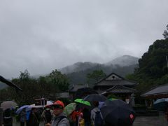 -鼎湖山风景区