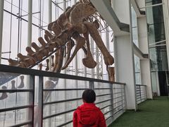 -吉林省自然博物馆
