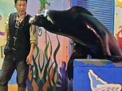 -太平洋海底世界