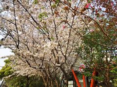 -杨高南路(地铁站)