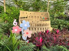 -南宫五洲植物乐园