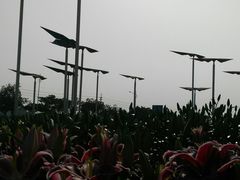 -万顷园艺世界