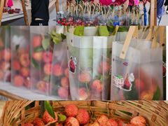 -深圳大学(丽湖校区)