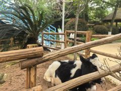 -海兰云天度假区温泉