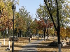 -延庆地质公园博物馆