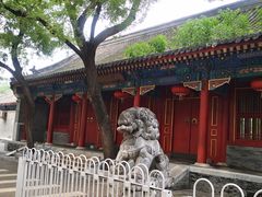 -北京第二实验小学