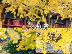 -王婆婆老妈蹄花川菜馆·非物质文化遗产(太古里一店)