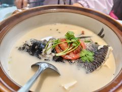 -全乐鱼馆·淳牌有机鱼直营店