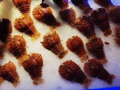 -澜悦港海鲜体验主题餐厅