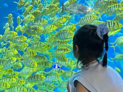 -南昌融创海世界