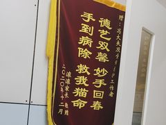 -中农国际动物医院24小时·猫科·骨科·急重症中心