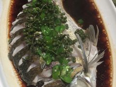 -吉阳酒店(奥山店)