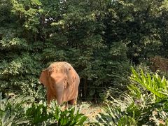 -广州长隆野生动物世界