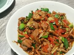-壹盏灯(惠农店)