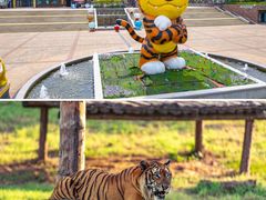 -济南野生动物世界