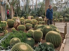-北京植物园-展览温室