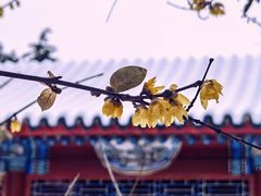 -月坛公园