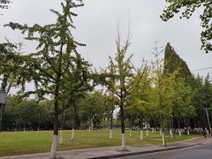 -范蠡湖公园