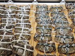 -盒马鲜生(双清路店)