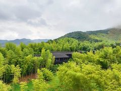 -大唐贡茶院