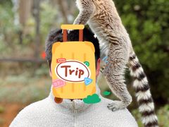 -云南野生动物园