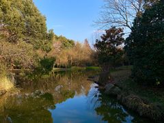 -上海滨江森林公园