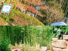-江南天池高山汤泉城