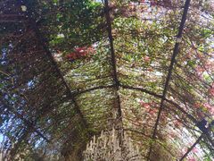 -The Grounds of Alexandria