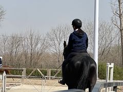 -北京群众马术培训基地