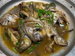 -大清花饺子城(昌黎店)