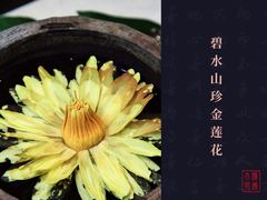 碧水山珍金莲花-和木The Home·私厨(鼓楼店)