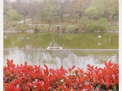 -梅林春晓花园餐厅
