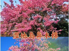 -佛冈森波拉度假区