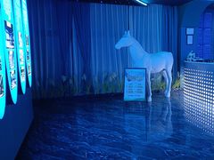 -青春足迹·概念店·小憩足疗SPA