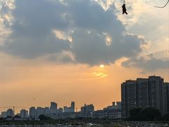 -麦当劳(友谊路得来速店)