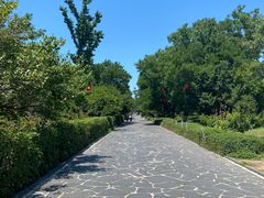 -蓬莱阁景区